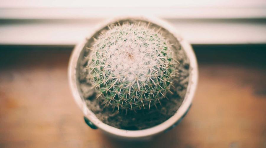 Real-world perspective on the financial principles covered in this section.