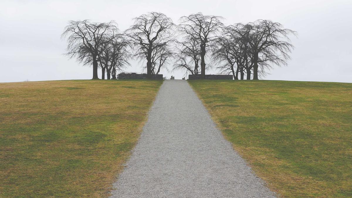 Cut Household Expenses: Stress-Free Savings Guide