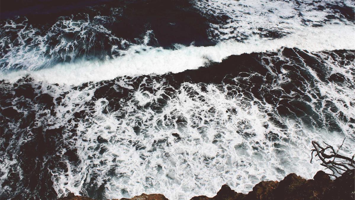 Dividend Investing: Generate Passive Income & Build Wealth