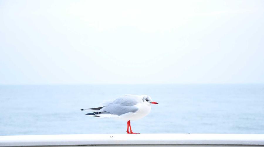 Visual guide to help you understand the key concepts discussed above.