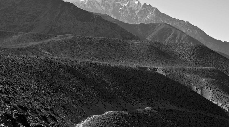 Putting theory into practice — a closer look at the strategies outlined.