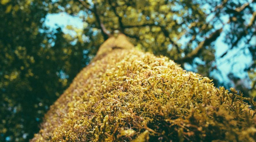 Real-world perspective on the financial principles covered in this section.