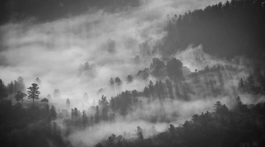 Putting theory into practice — a closer look at the strategies outlined.