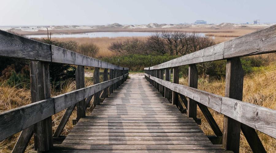 Real-world perspective on the financial principles covered in this section.