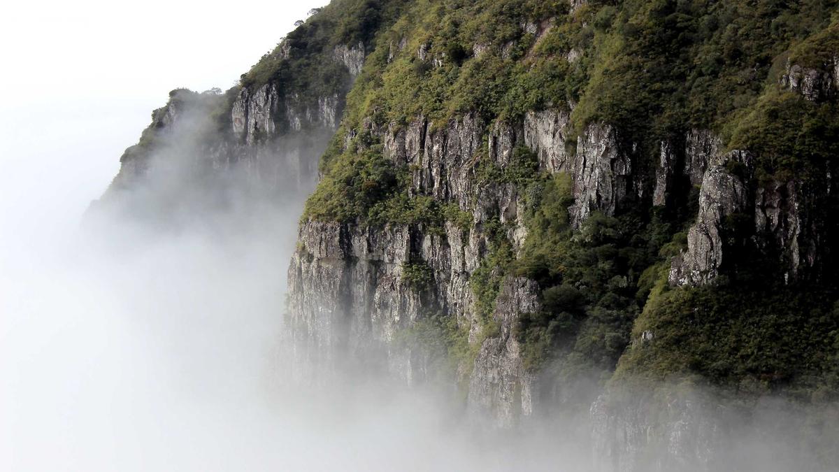 Save for a House: Your Down Payment Guide (2024)