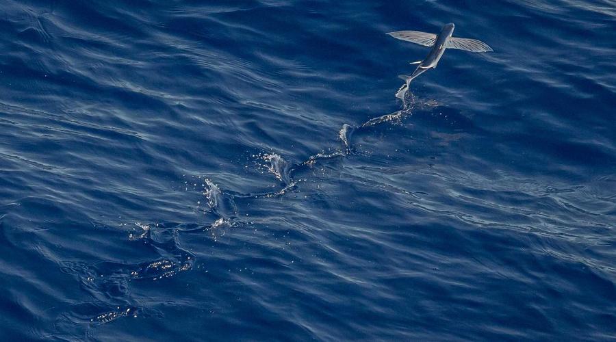 Real-world perspective on the financial principles covered in this section.